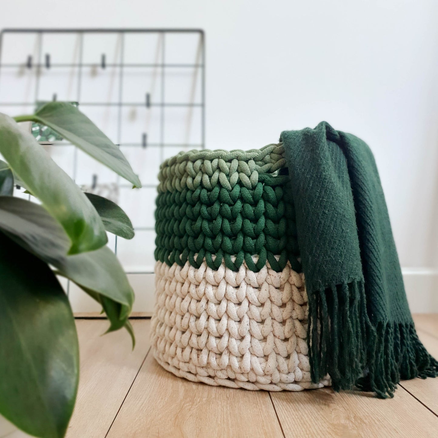 Eucalyptus Green