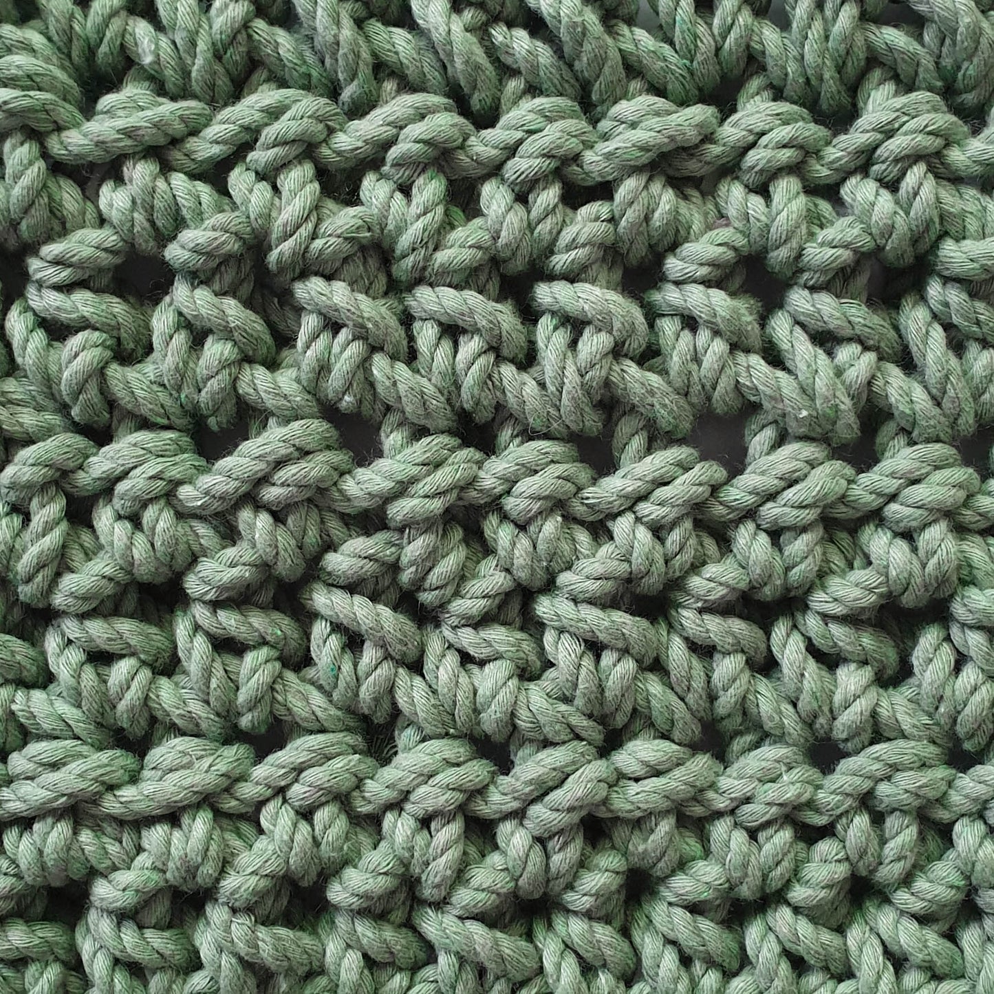 Eucalyptus Green