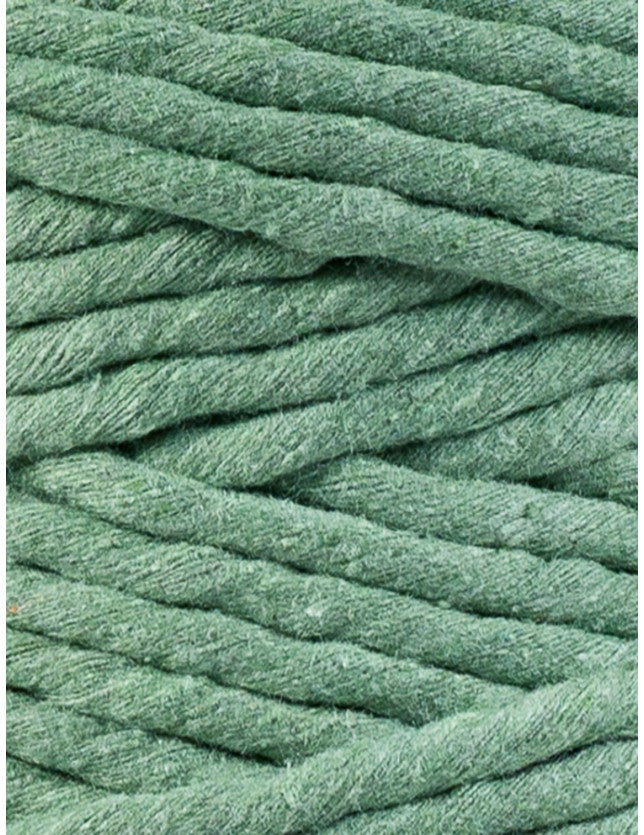 Eucalyptus Green