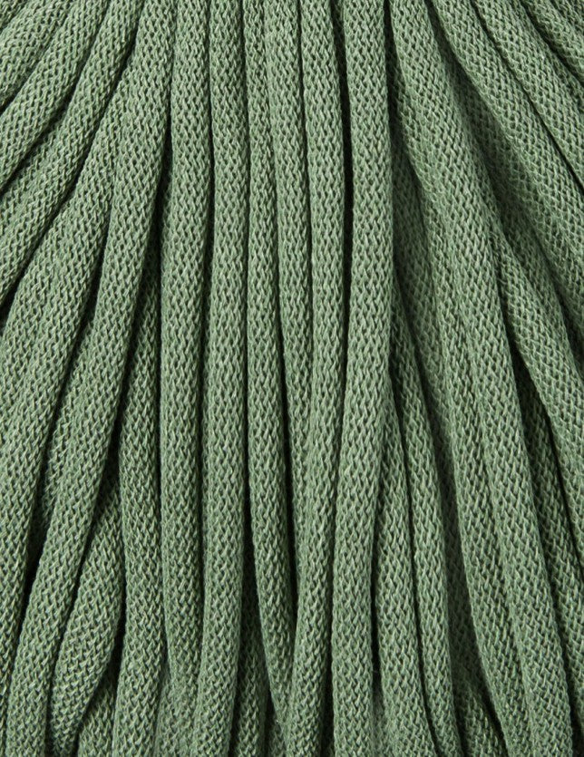 Eucalyptus Green