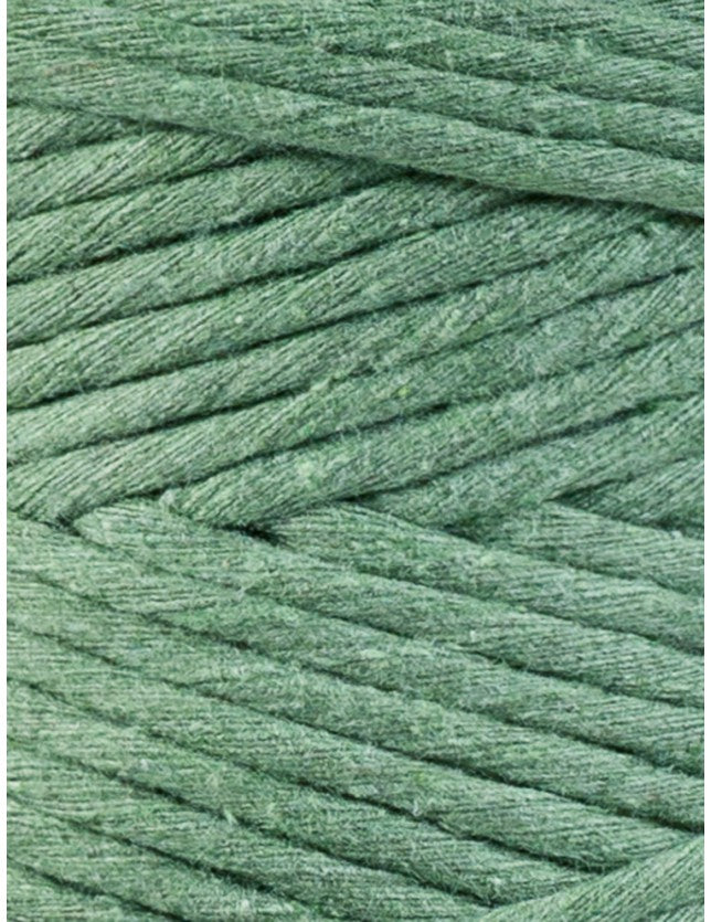 Eucalyptus Green